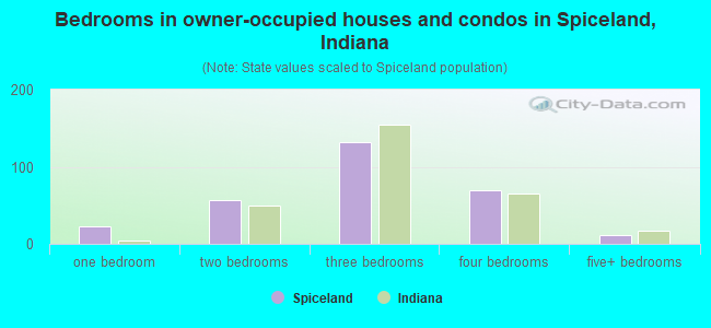 Bedrooms in owner-occupied houses and condos in Spiceland, Indiana