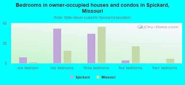 Bedrooms in owner-occupied houses and condos in Spickard, Missouri