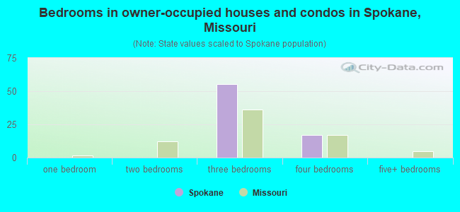 Bedrooms in owner-occupied houses and condos in Spokane, Missouri