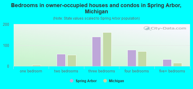 Bedrooms in owner-occupied houses and condos in Spring Arbor, Michigan