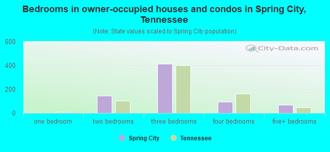 Bedrooms in owner-occupied houses and condos in Spring City, Tennessee