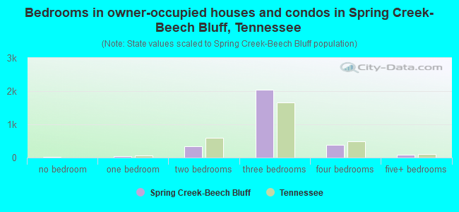 Bedrooms in owner-occupied houses and condos in Spring Creek-Beech Bluff, Tennessee