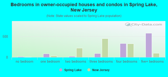 Bedrooms in owner-occupied houses and condos in Spring Lake, New Jersey