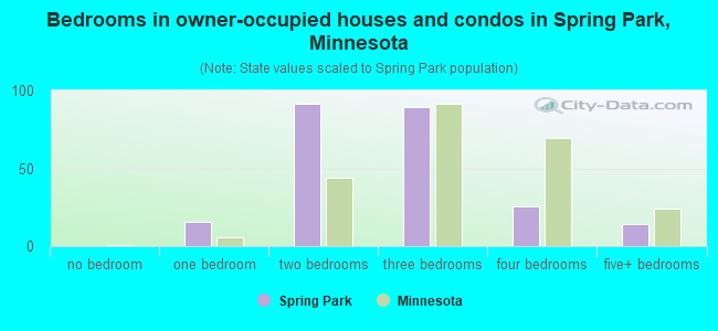 Bedrooms in owner-occupied houses and condos in Spring Park, Minnesota