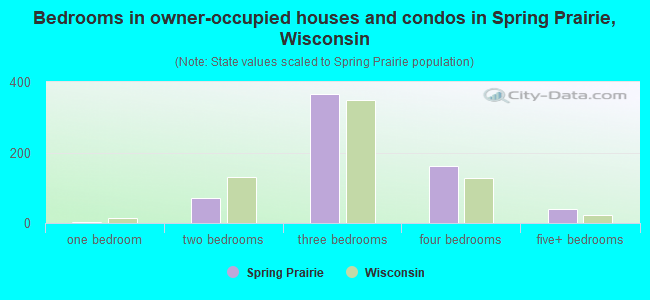 Bedrooms in owner-occupied houses and condos in Spring Prairie, Wisconsin