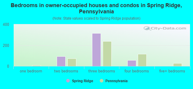 Bedrooms in owner-occupied houses and condos in Spring Ridge, Pennsylvania