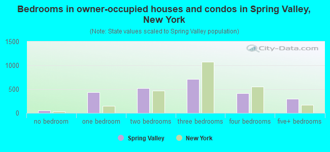 Bedrooms in owner-occupied houses and condos in Spring Valley, New York