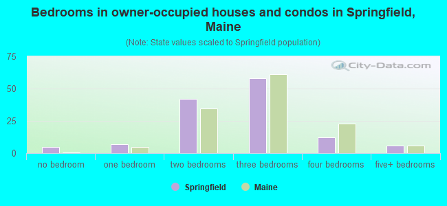 Bedrooms in owner-occupied houses and condos in Springfield, Maine