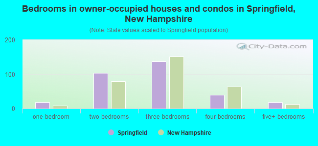 Bedrooms in owner-occupied houses and condos in Springfield, New Hampshire