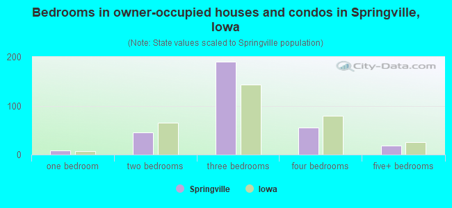 Bedrooms in owner-occupied houses and condos in Springville, Iowa