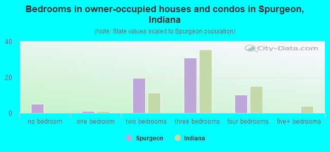 Bedrooms in owner-occupied houses and condos in Spurgeon, Indiana