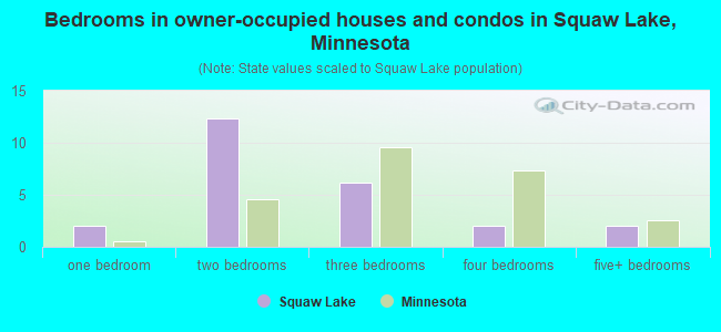 Bedrooms in owner-occupied houses and condos in Squaw Lake, Minnesota
