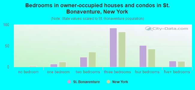 Bedrooms in owner-occupied houses and condos in St. Bonaventure, New York