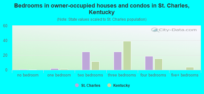 Bedrooms in owner-occupied houses and condos in St. Charles, Kentucky