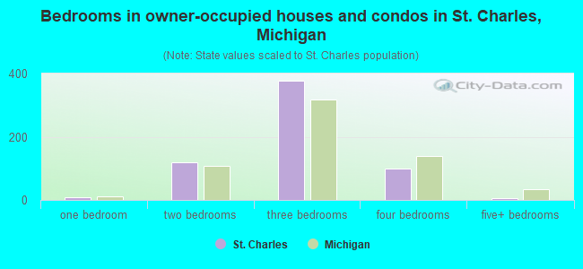 Bedrooms in owner-occupied houses and condos in St. Charles, Michigan