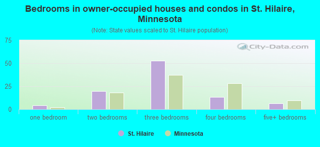 Bedrooms in owner-occupied houses and condos in St. Hilaire, Minnesota