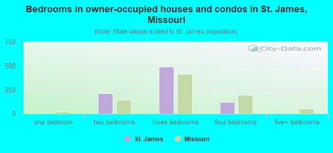 Bedrooms in owner-occupied houses and condos in St. James, Missouri