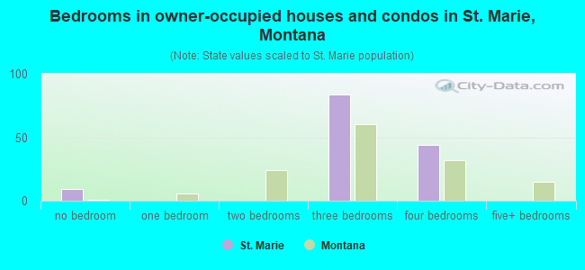 Bedrooms in owner-occupied houses and condos in St. Marie, Montana