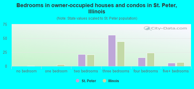Bedrooms in owner-occupied houses and condos in St. Peter, Illinois