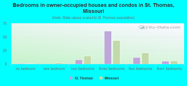 Bedrooms in owner-occupied houses and condos in St. Thomas, Missouri