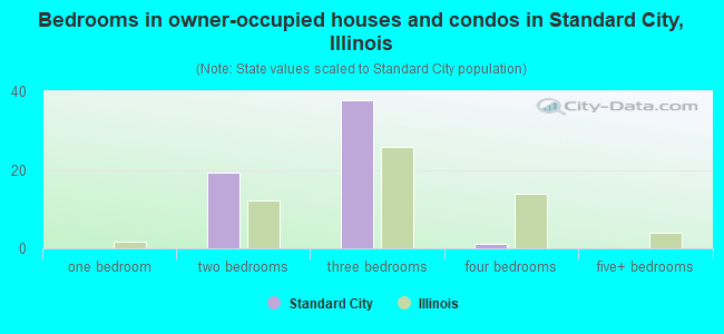 Bedrooms in owner-occupied houses and condos in Standard City, Illinois