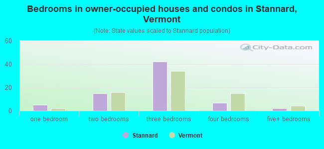 Bedrooms in owner-occupied houses and condos in Stannard, Vermont