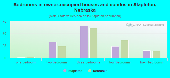 Bedrooms in owner-occupied houses and condos in Stapleton, Nebraska