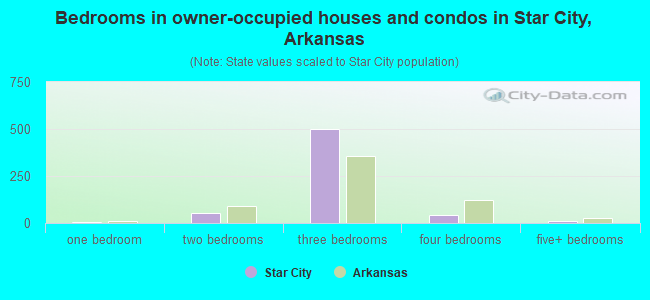 Bedrooms in owner-occupied houses and condos in Star City, Arkansas