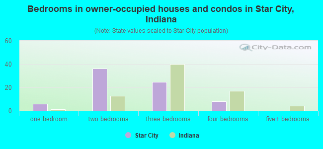 Bedrooms in owner-occupied houses and condos in Star City, Indiana