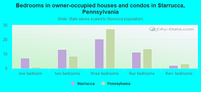 Bedrooms in owner-occupied houses and condos in Starrucca, Pennsylvania