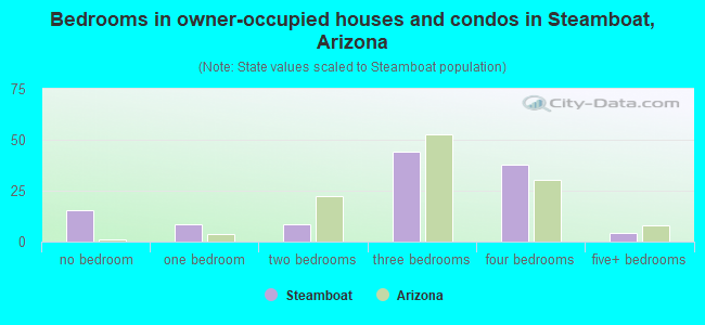 Bedrooms in owner-occupied houses and condos in Steamboat, Arizona