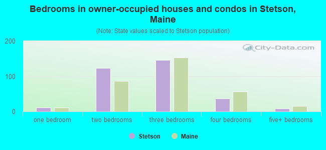 Bedrooms in owner-occupied houses and condos in Stetson, Maine