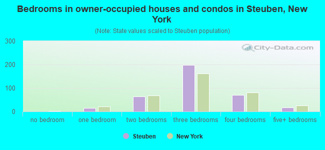 Bedrooms in owner-occupied houses and condos in Steuben, New York