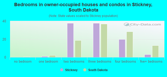 Bedrooms in owner-occupied houses and condos in Stickney, South Dakota