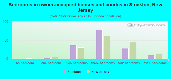 Bedrooms in owner-occupied houses and condos in Stockton, New Jersey
