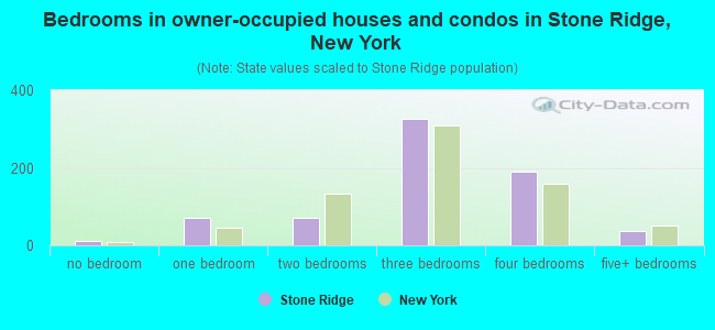Bedrooms in owner-occupied houses and condos in Stone Ridge, New York