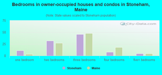 Bedrooms in owner-occupied houses and condos in Stoneham, Maine