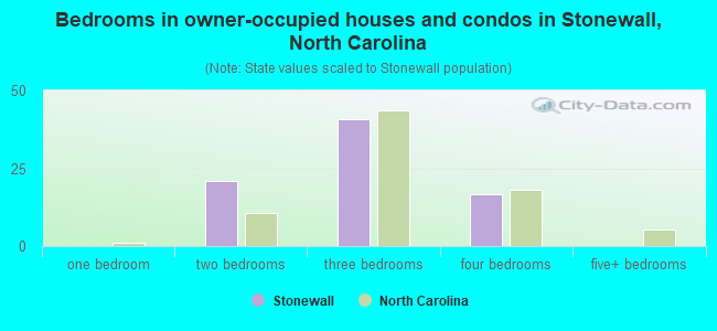 Bedrooms in owner-occupied houses and condos in Stonewall, North Carolina