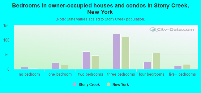 Bedrooms in owner-occupied houses and condos in Stony Creek, New York