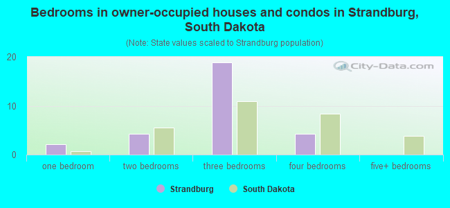 Bedrooms in owner-occupied houses and condos in Strandburg, South Dakota