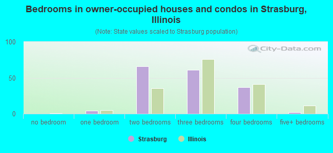 Bedrooms in owner-occupied houses and condos in Strasburg, Illinois