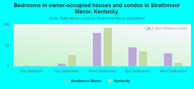 Bedrooms in owner-occupied houses and condos in Strathmoor Manor, Kentucky