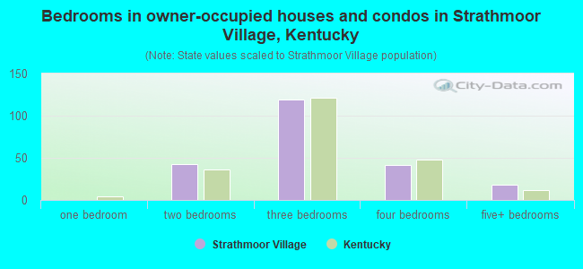 Bedrooms in owner-occupied houses and condos in Strathmoor Village, Kentucky