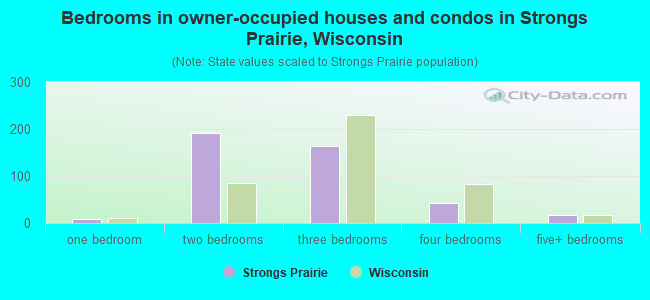 Bedrooms in owner-occupied houses and condos in Strongs Prairie, Wisconsin