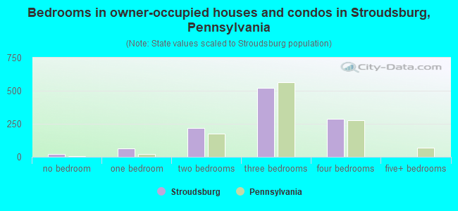 Bedrooms in owner-occupied houses and condos in Stroudsburg, Pennsylvania