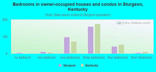 Bedrooms in owner-occupied houses and condos in Sturgeon, Kentucky