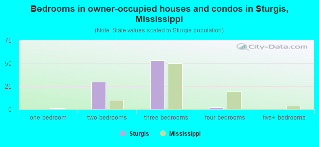 Bedrooms in owner-occupied houses and condos in Sturgis, Mississippi