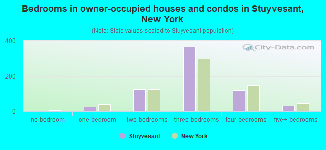 Bedrooms in owner-occupied houses and condos in Stuyvesant, New York