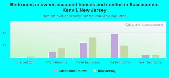 Bedrooms in owner-occupied houses and condos in Succasunna-Kenvil, New Jersey
