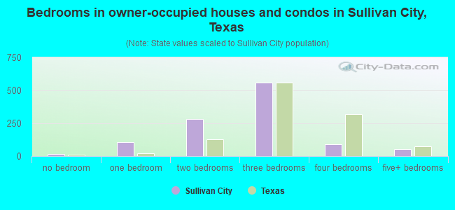 Bedrooms in owner-occupied houses and condos in Sullivan City, Texas